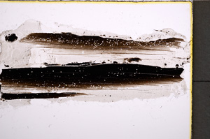 Plane Polarized, E22317