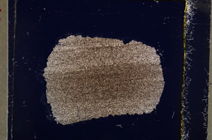 Cross Polarized, E22323