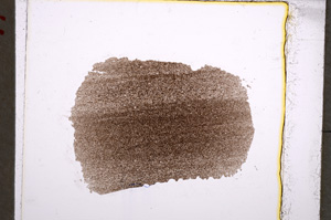 Plane Polarized, E22323