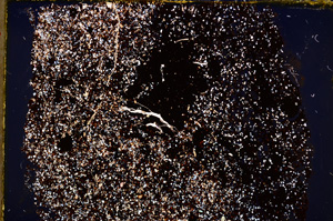 Cross Polarized, E22335