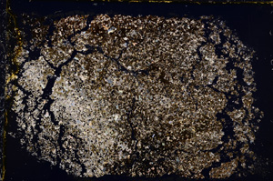 Cross Polarized, E22337