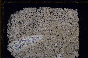 Cross Polarized, E22340