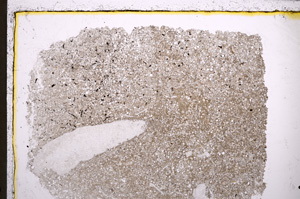 Plane Polarized, E22340