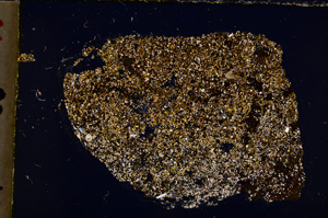 Cross Polarized, E22346