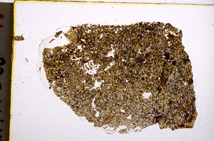 Plane Polarized, E22346