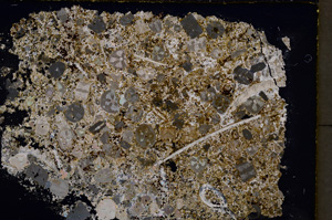 Cross Polarized, E22347