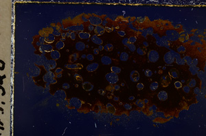 Cross Polarized, E22351