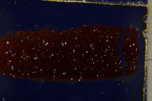 Cross Polarized, E22352