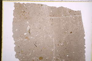 Plane Polarized, E22354