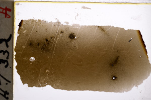 Plane Polarized, E22355