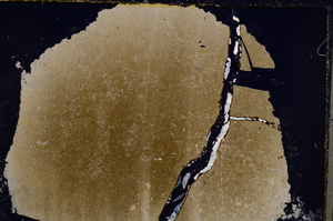 Cross Polarized, E22357