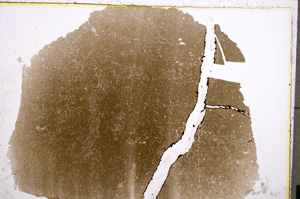 Plane Polarized, E22357