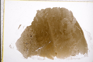 Plane Polarized, E22359