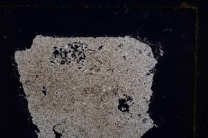 Cross Polarized, E22380