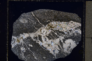 Cross Polarized, E22381