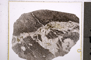 Plane Polarized, E22381