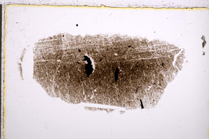 Plane Polarized, E22388