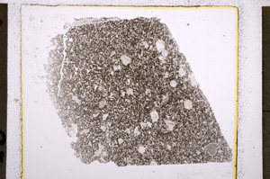 Plane Polarized, E22392