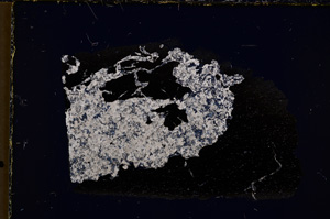 Cross Polarized, E22393