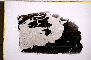 Plane Polarized, E22393