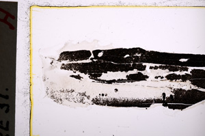 Plane Polarized, E22395
