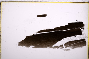 Plane Polarized, E22396