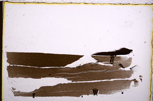 Plane Polarized, E22397