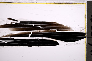 Plane Polarized, E22406