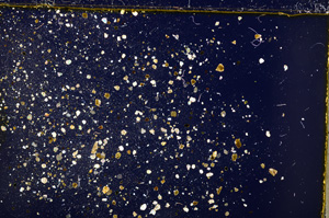 Cross Polarized, E22409