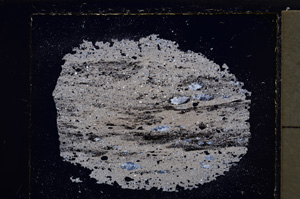 Cross Polarized, E22443