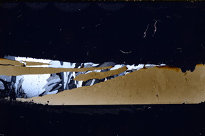 Cross Polarized, E22464