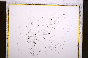 Plane Polarized, E22471