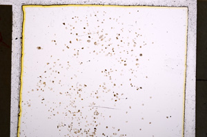 Plane Polarized, E22472