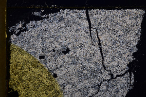 Cross Polarized, E22514