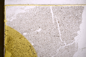 Plane Polarized, E22514