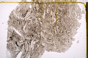 Plane Polarized, E22517