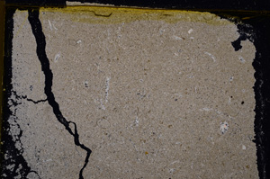 Cross Polarized, E22518