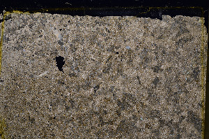 Cross Polarized, E22519