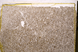 Plane Polarized, E22519