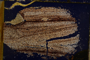 Cross Polarized, E22521