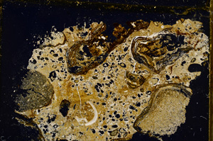 Cross Polarized, E22522