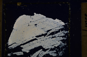 Cross Polarized, E22550