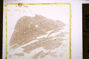 Plane Polarized, E22550