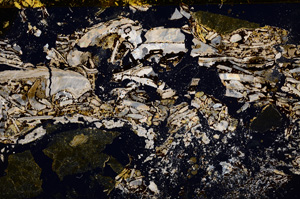 Cross Polarized, E22551