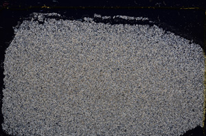 Cross Polarized, E22562