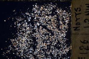 Cross Polarized, E22599