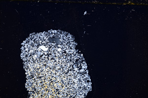 Cross Polarized, E22605