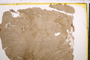 Plane Polarized, E22612