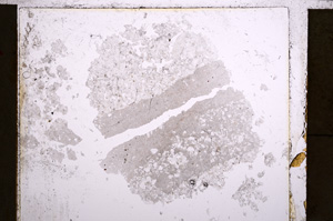Plane Polarized, E22643