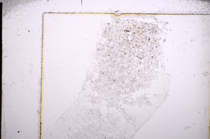 Plane Polarized, E22644